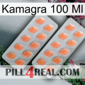 Kamagra 100 Ml 27